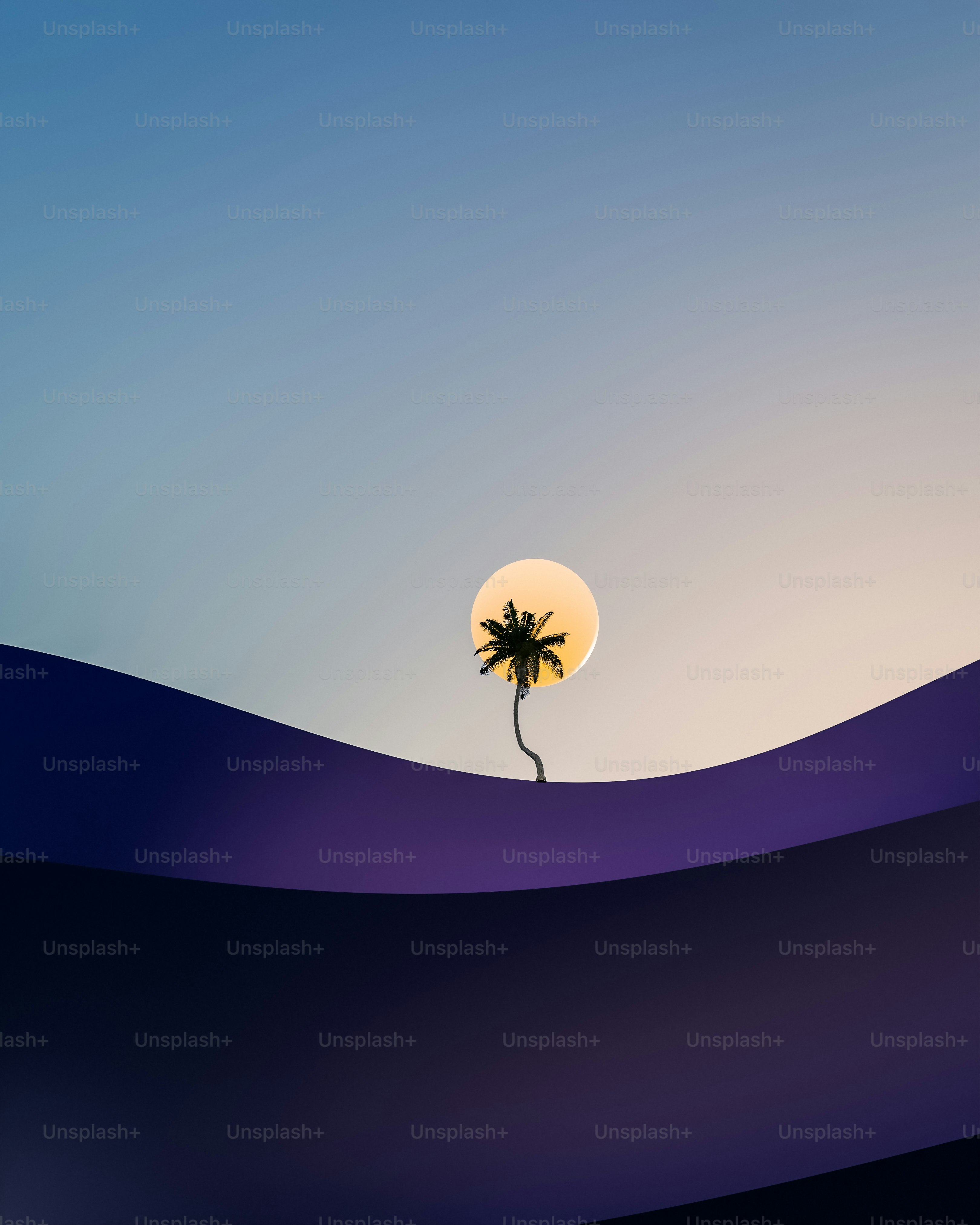 a palm tree in the middle of a desert