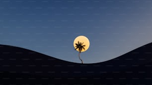 Un palmier au milieu d’un désert