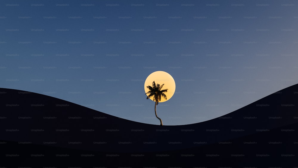 a palm tree in the middle of a desert