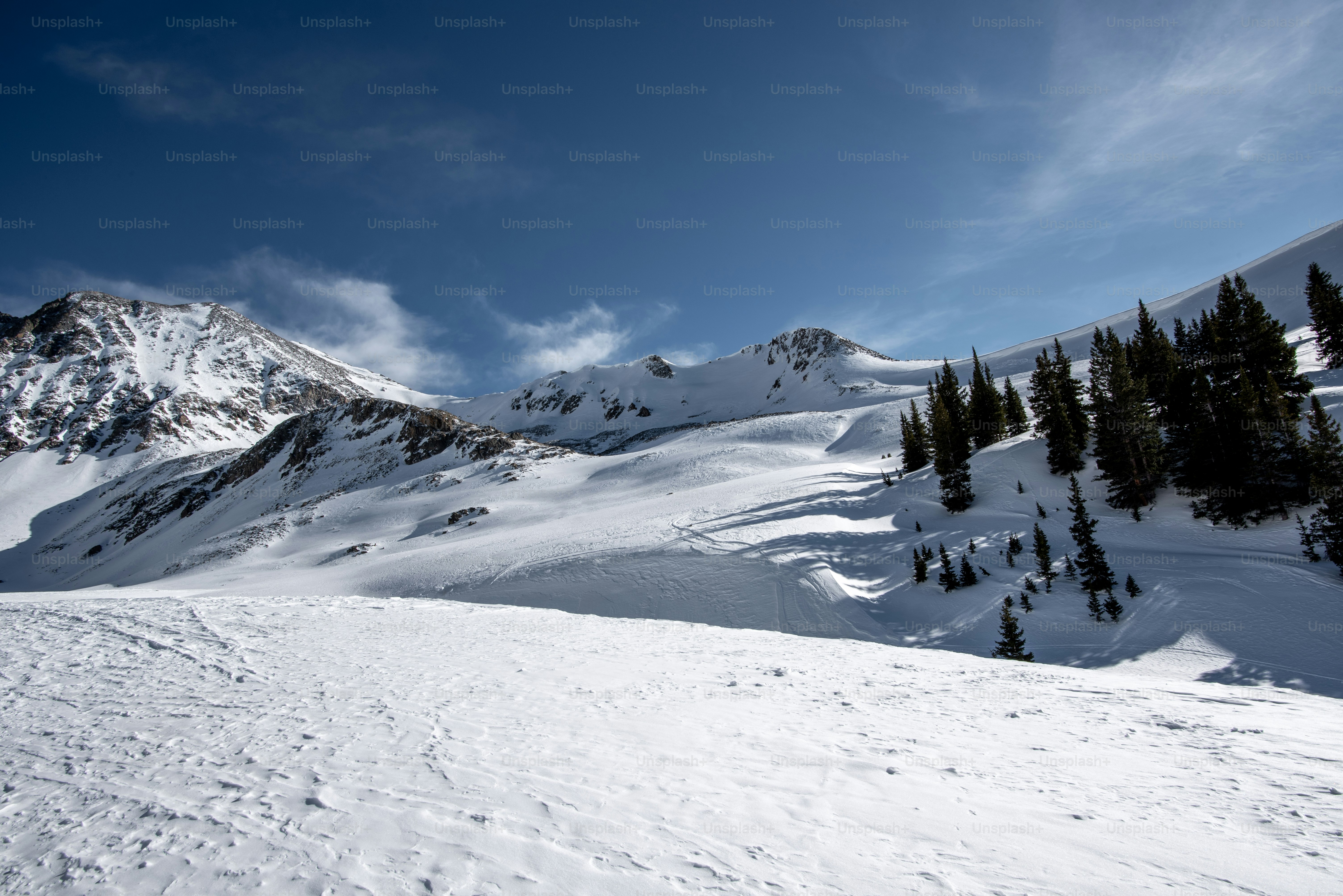 a snow covered mountain with trees in the foreground