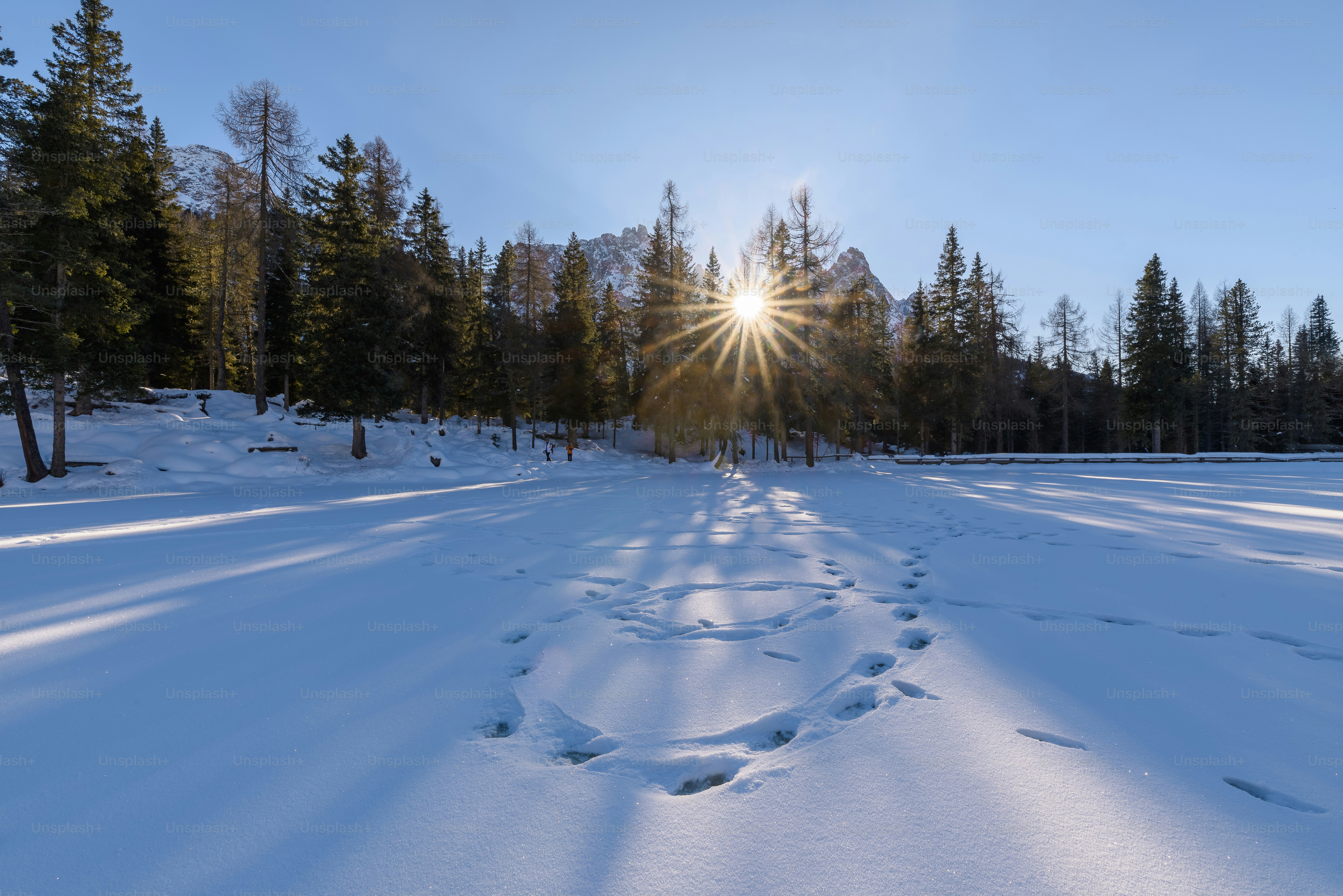 The sun shines brightly over a snowy path photo – Wallpaper Image on ...