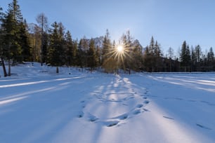 El sol brilla intensamente sobre un camino nevado