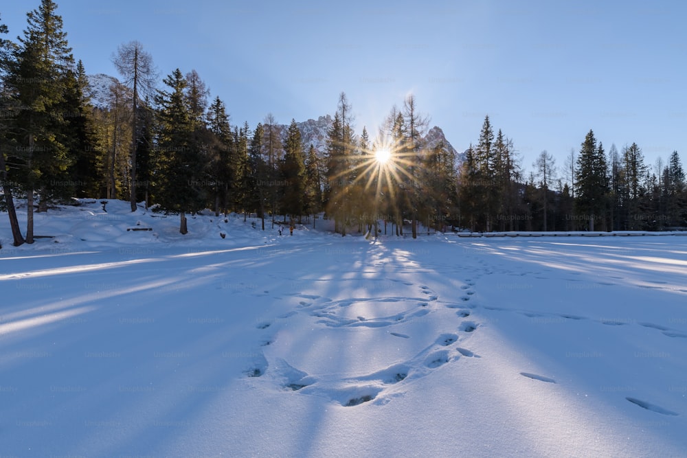 El sol brilla intensamente sobre un camino nevado