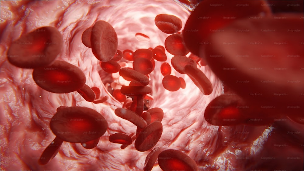 um close up de um vaso sanguíneo com glóbulos vermelhos