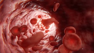 glóbulos vermelhos na veia de uma veia
