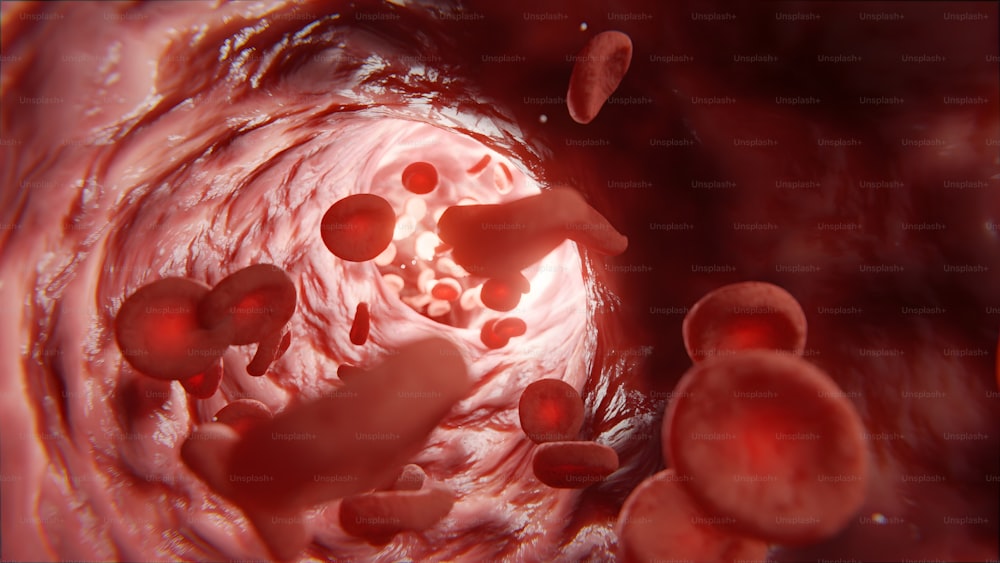 red blood cells in the vein of a vein