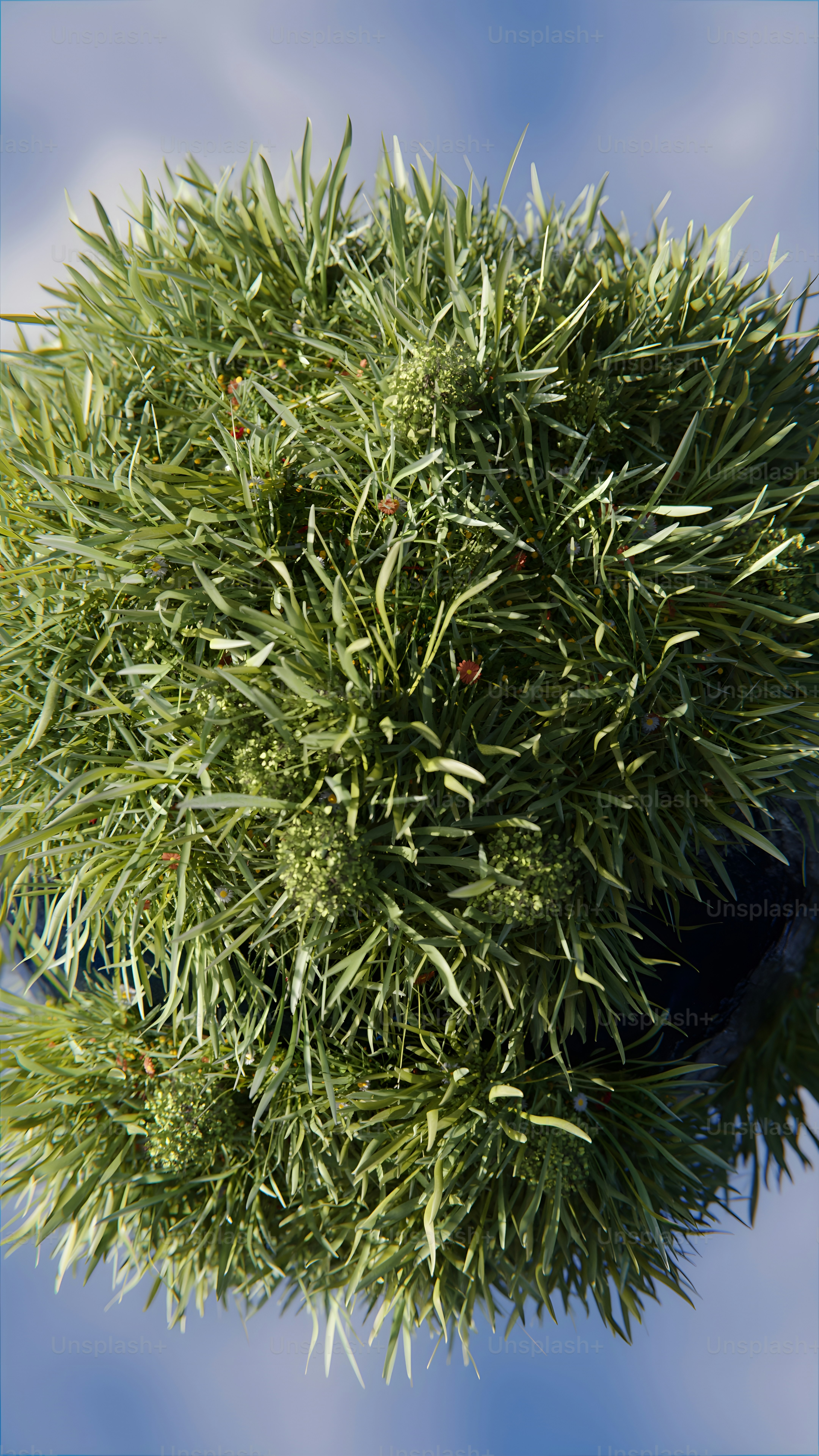 a close up of a plant with green leaves