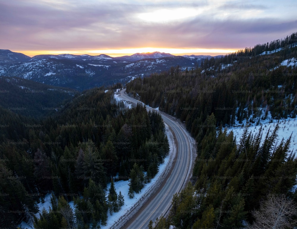 a winding road in the middle of a forest