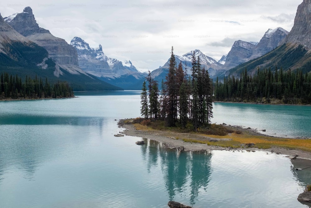 a body of water surrounded by mountains and trees