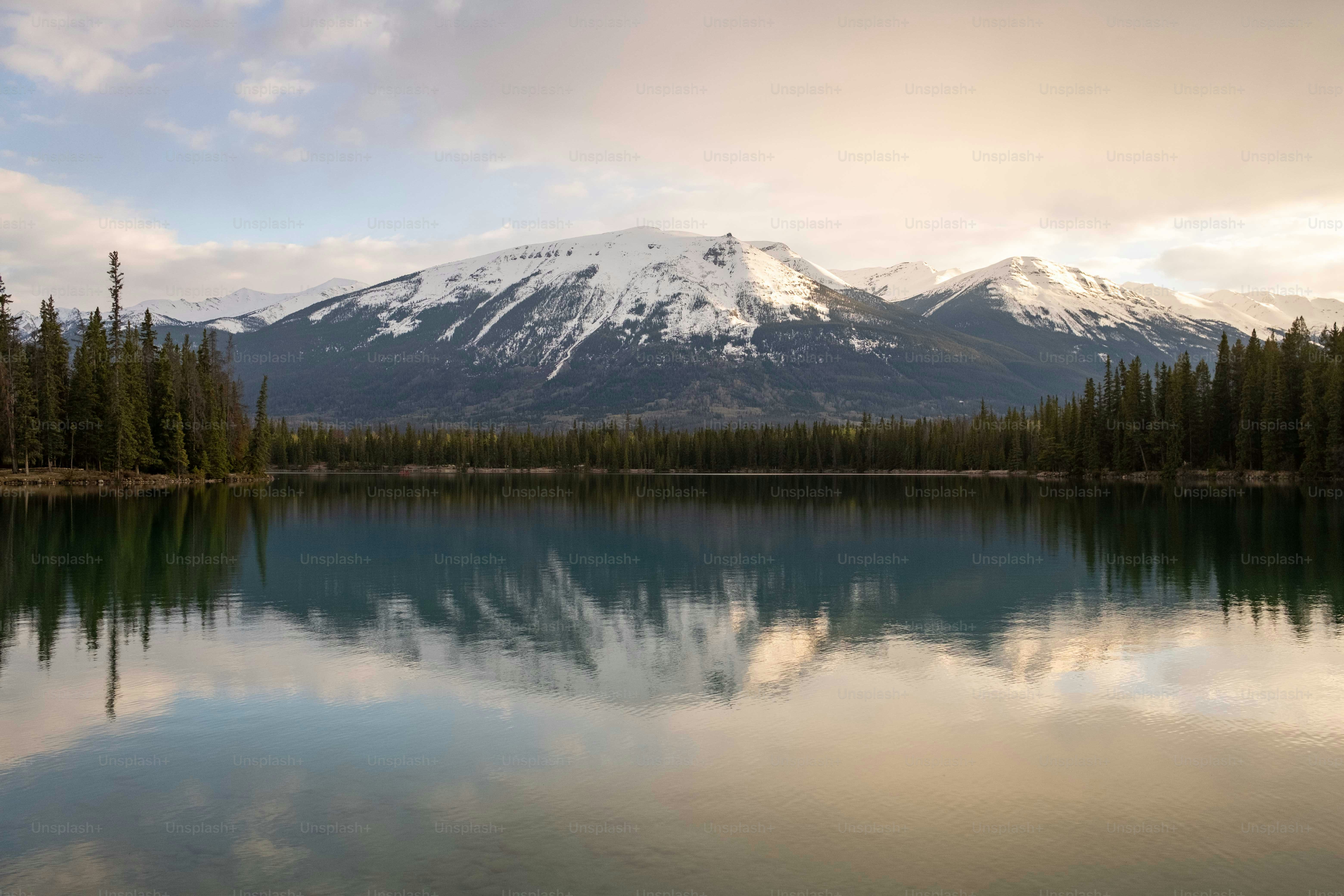 a mountain is in the distance with a lake in the foreground