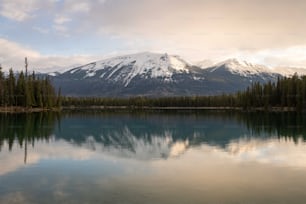 Une montagne est au loin avec un lac au premier plan