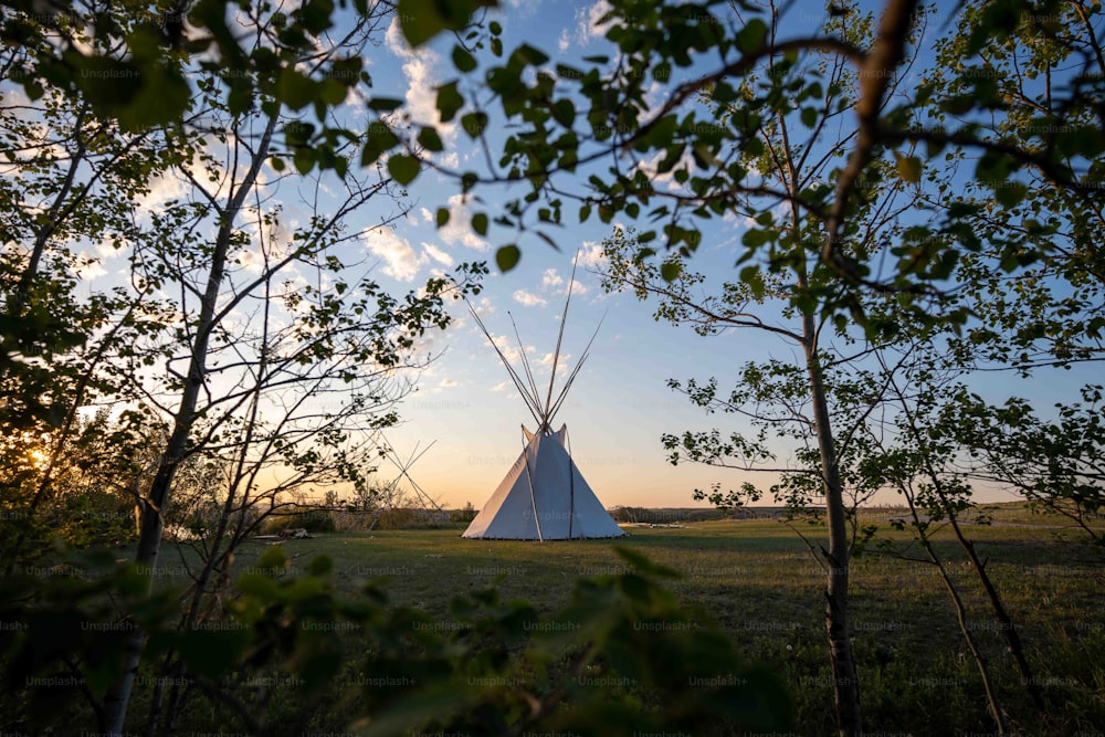 a teepee in the middle of a field surrounded by trees