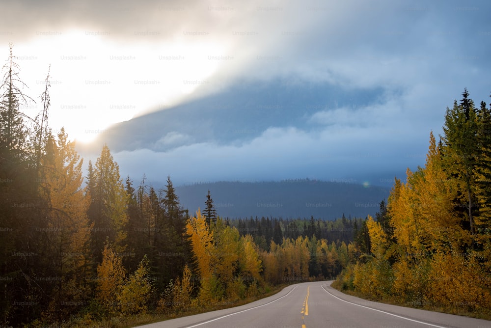 a road with trees and a mountain in the background