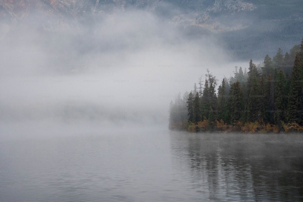 ein Gewässer umgeben von Bäumen und Nebel