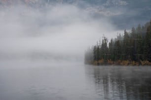 a body of water surrounded by trees and fog