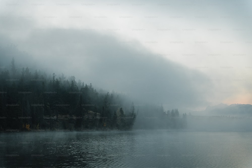 um corpo de água cercado por árvores em um dia de nevoeiro