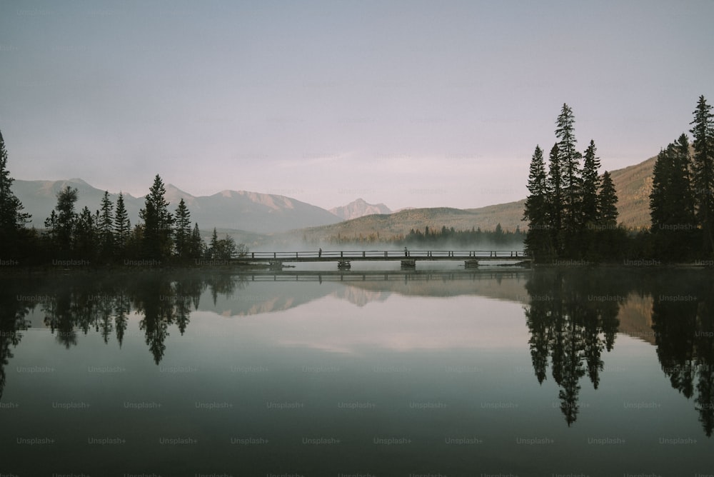 a body of water surrounded by trees and a bridge