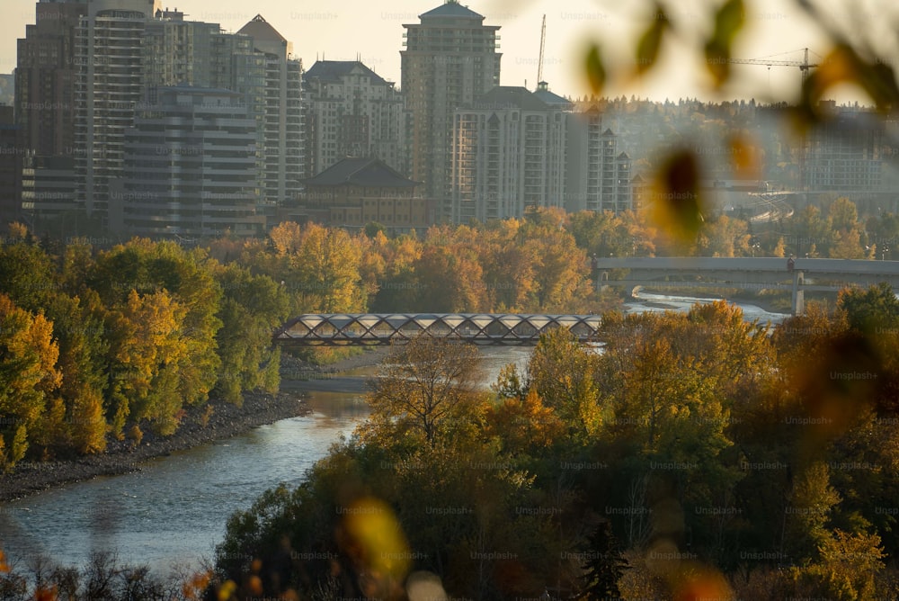 a bridge over a river with a city in the background