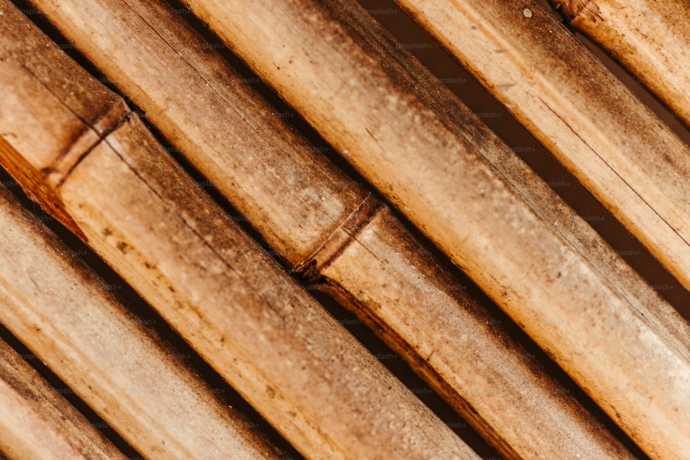 Eine Nahaufnahme eines Bündels Bambusstöcke
