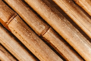 Un primer plano de un montón de palos de bambú