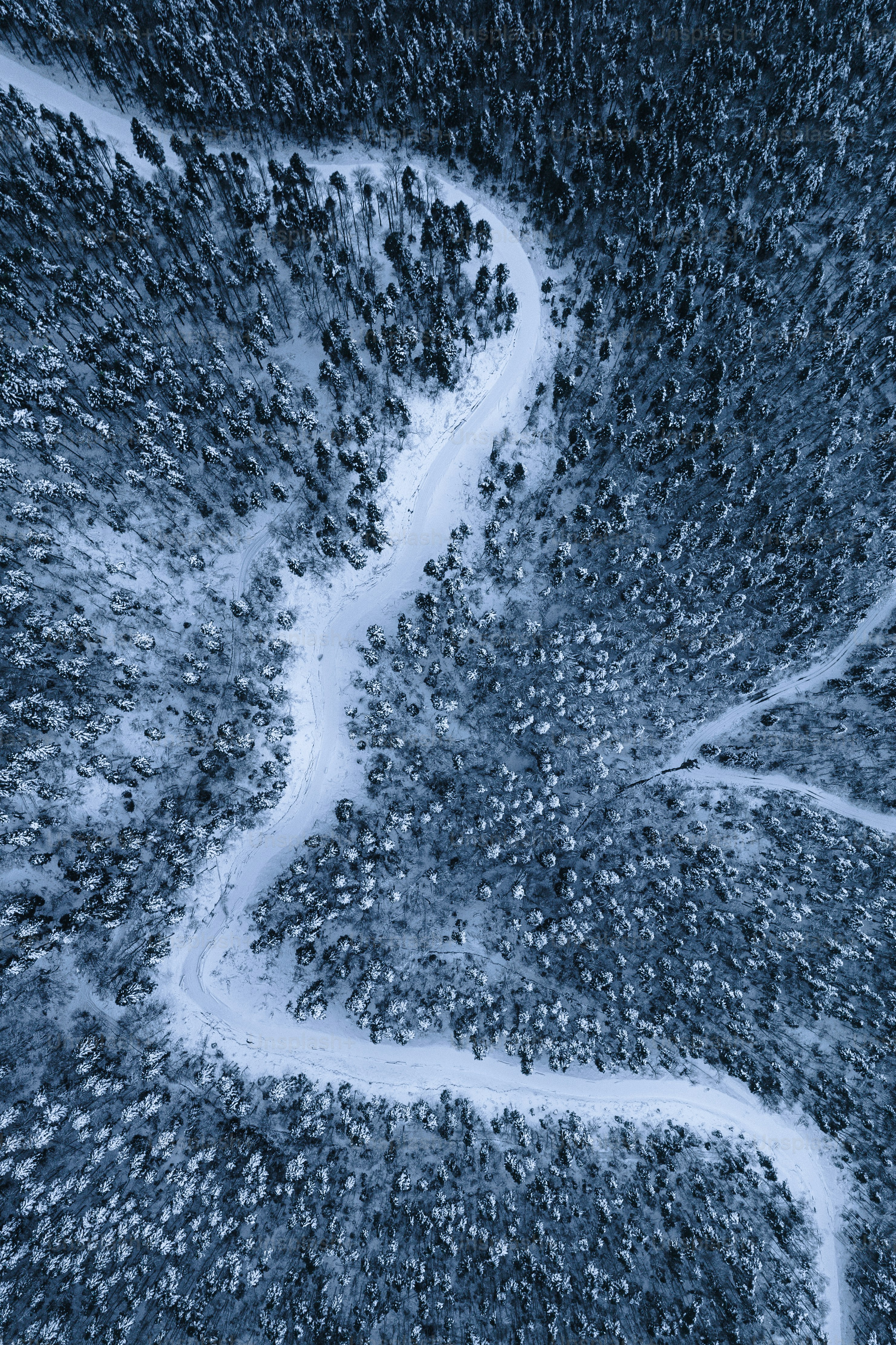 An aerial view of a river in the middle of a forest photo – Track Image ...