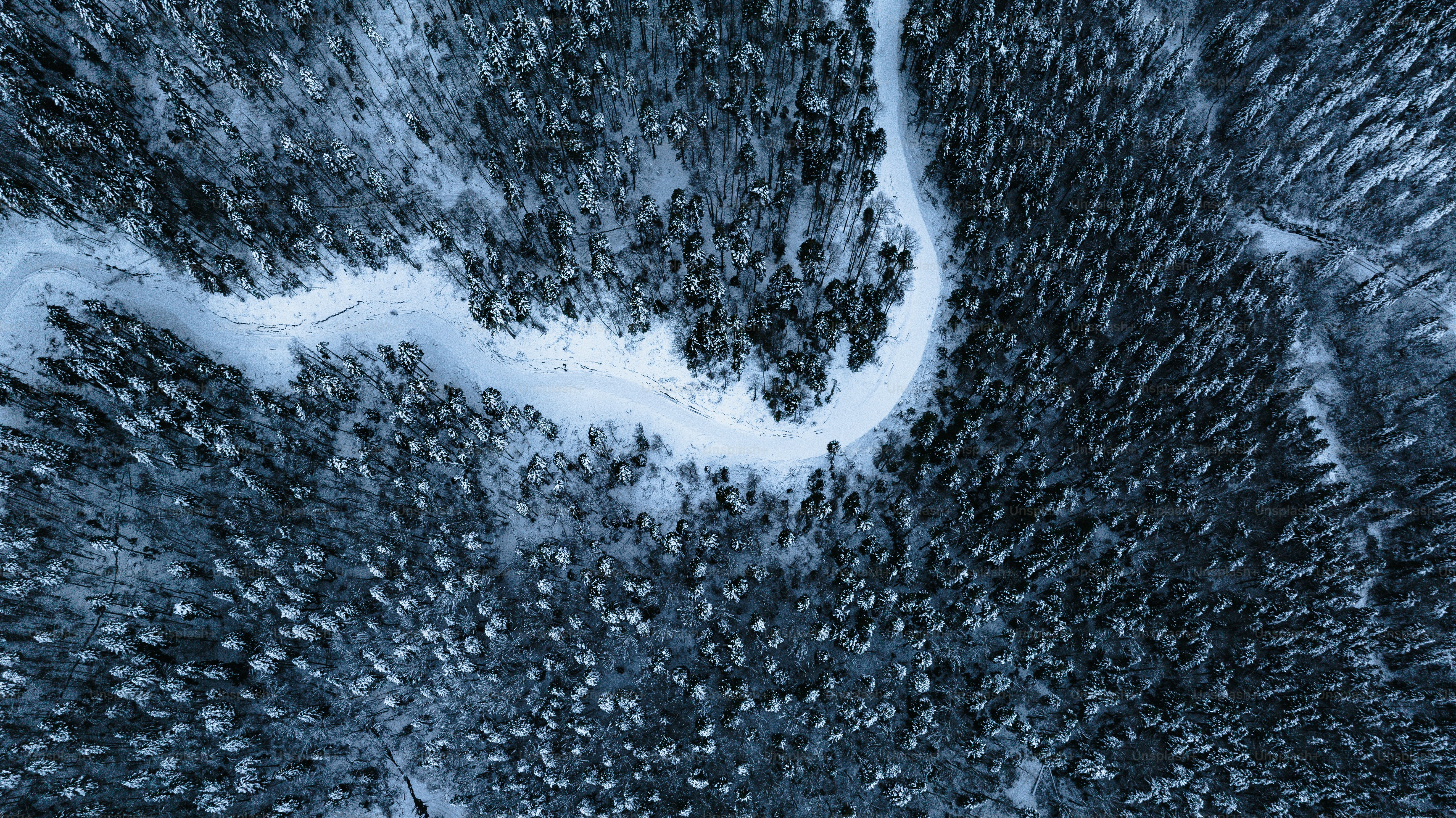 An aerial view of a snow covered forest photo – Drone photo Image on ...