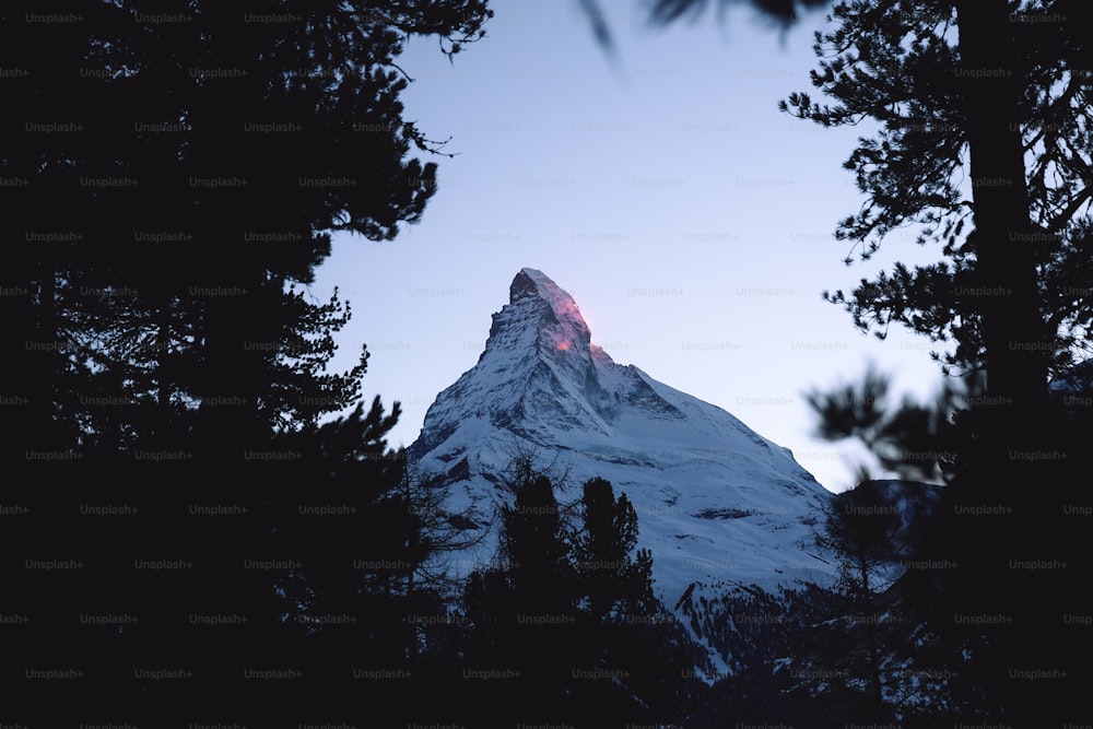 a snow covered mountain surrounded by pine trees