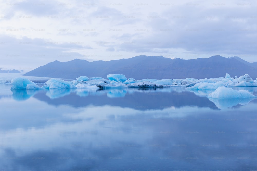 um grupo de icebergs flutuando no topo de um lago