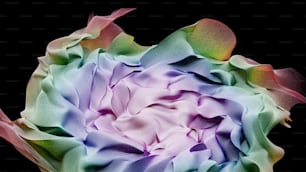 a close up of a colorful flower on a black background