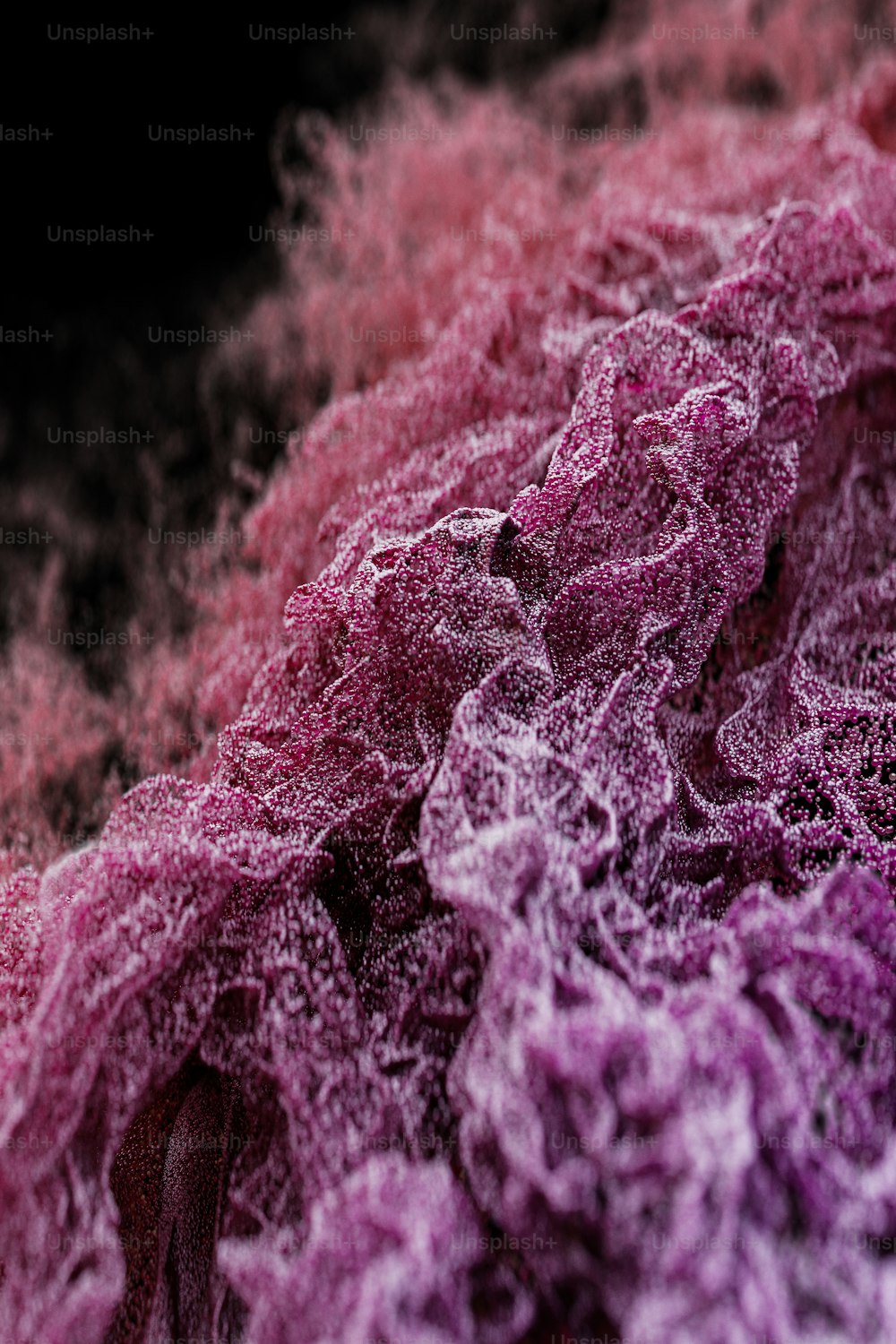 un primer plano de una sustancia rosa y púrpura