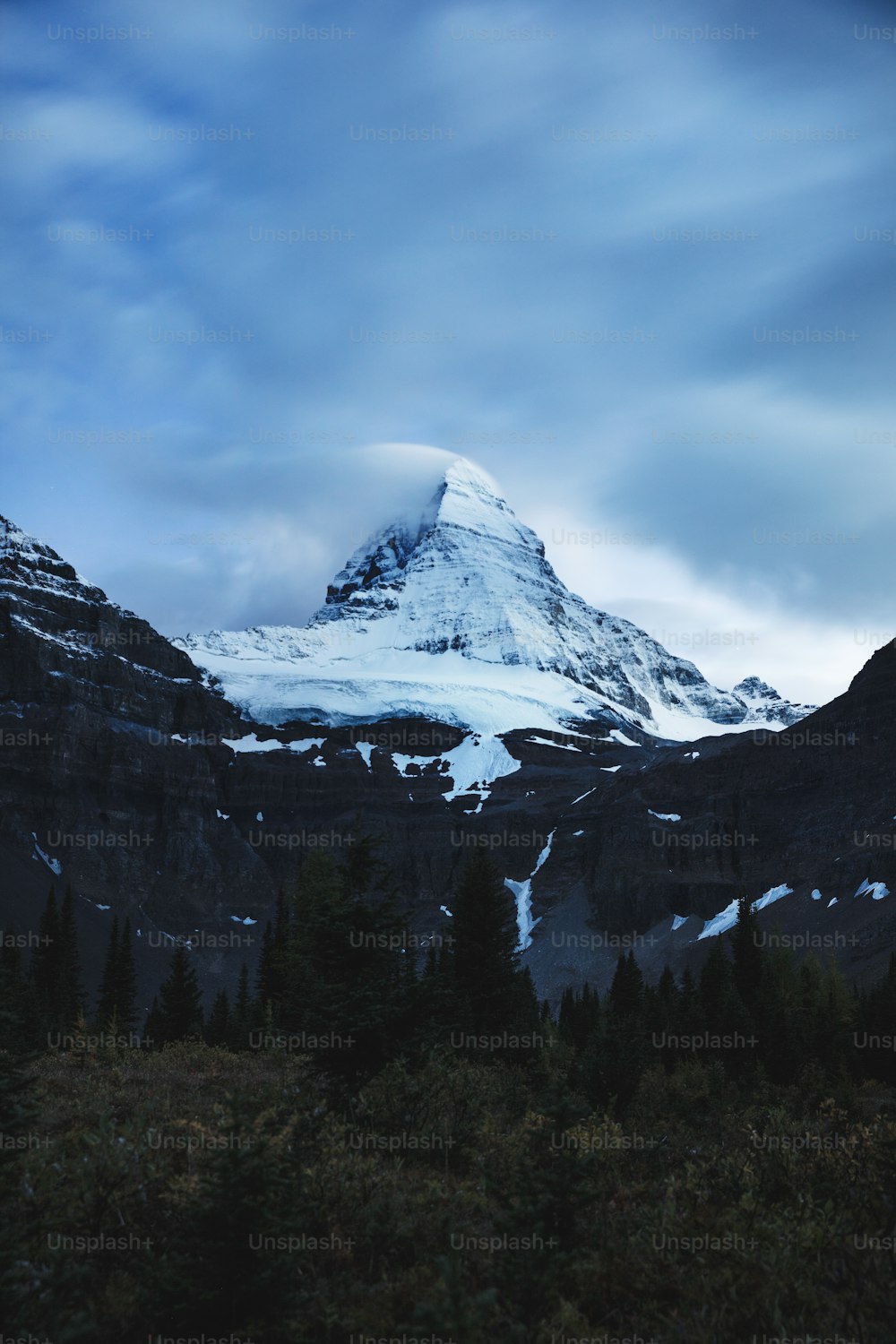 a snow covered mountain with trees in the foreground