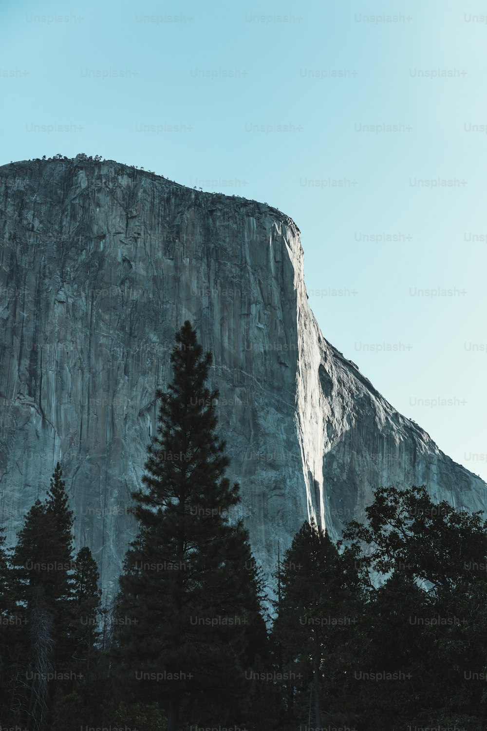 Una montaña alta con árboles frente a ella