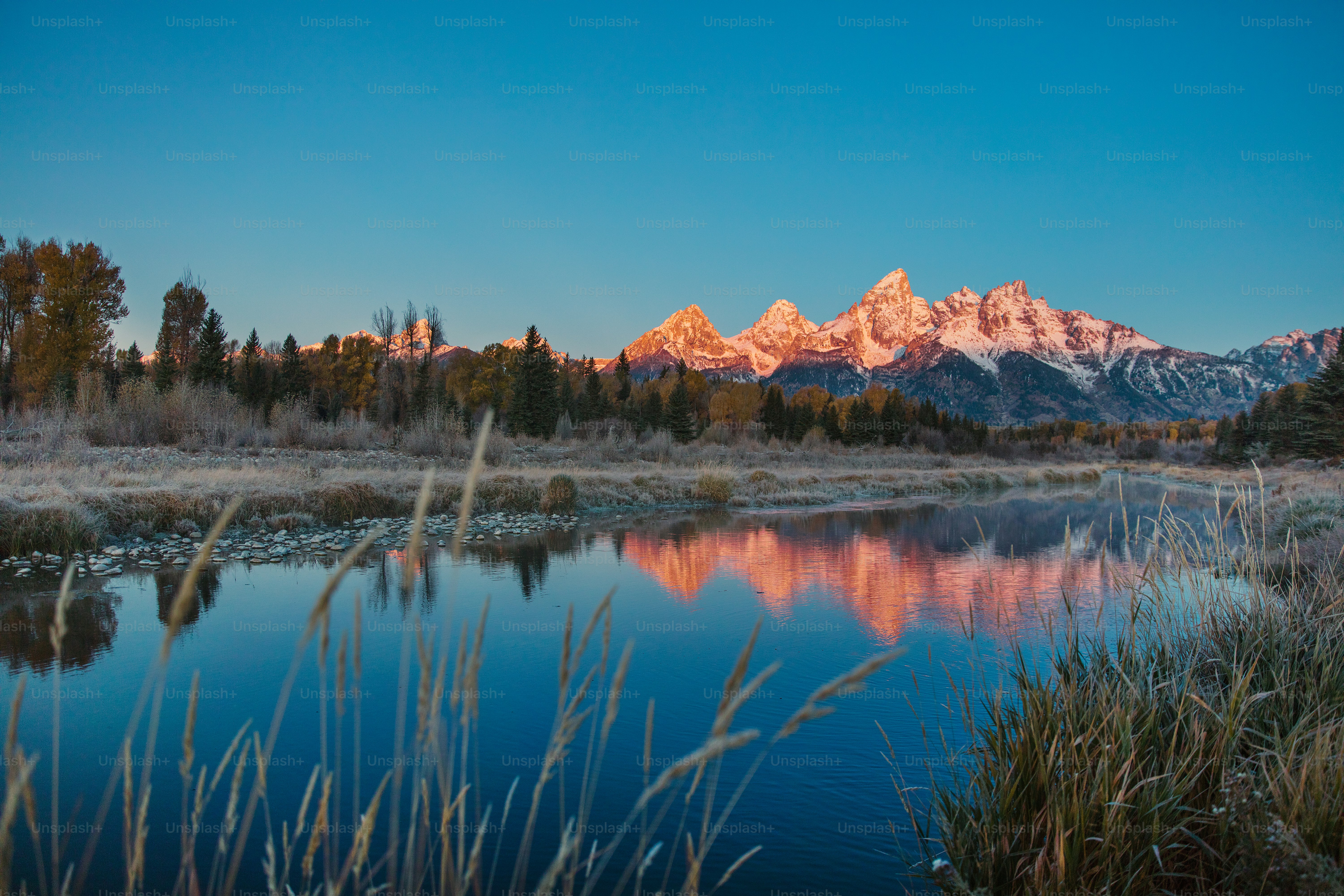 1K+ Grand Tetons National Park Pictures | Download Free Images on ...