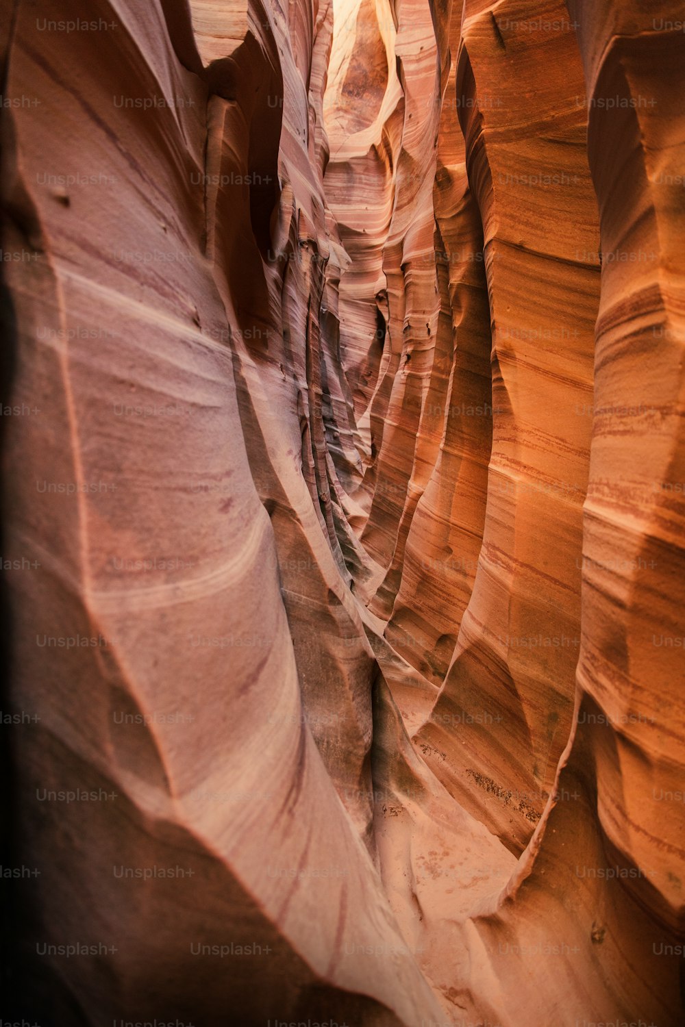 une fente étroite sur le flanc d’un canyon