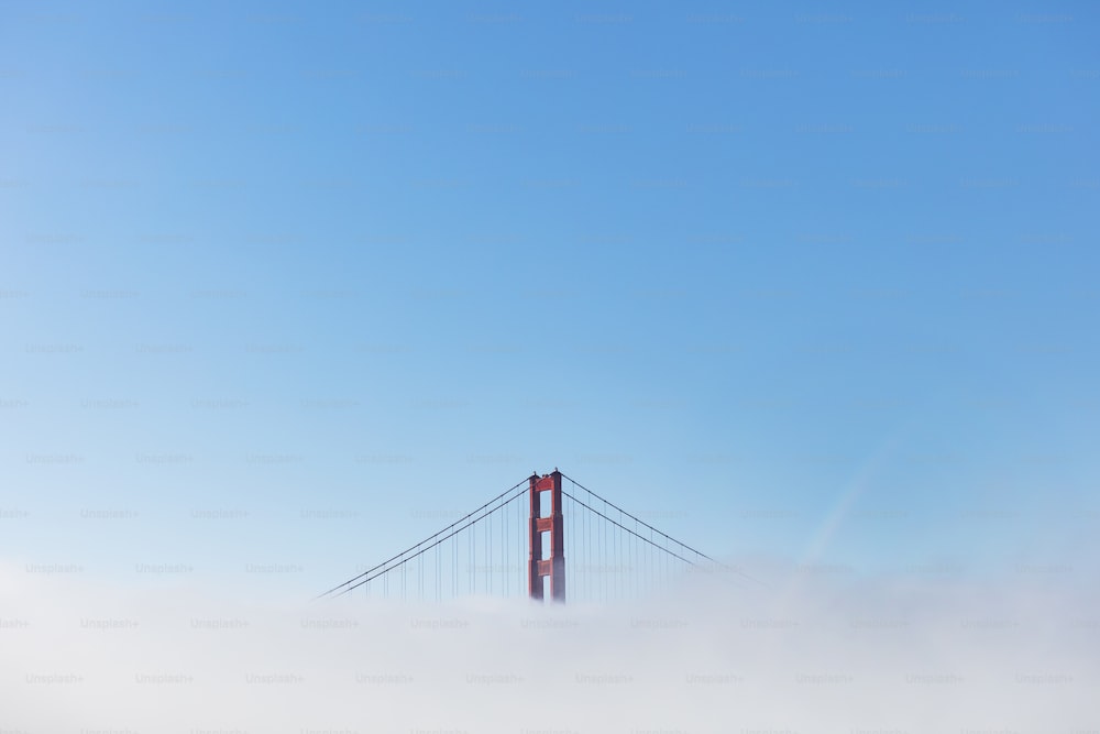 the golden gate bridge is surrounded by fog