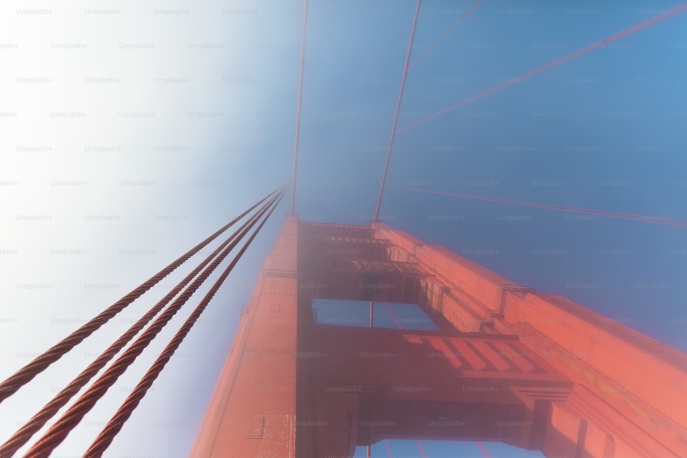 a view of the top of a bridge from below