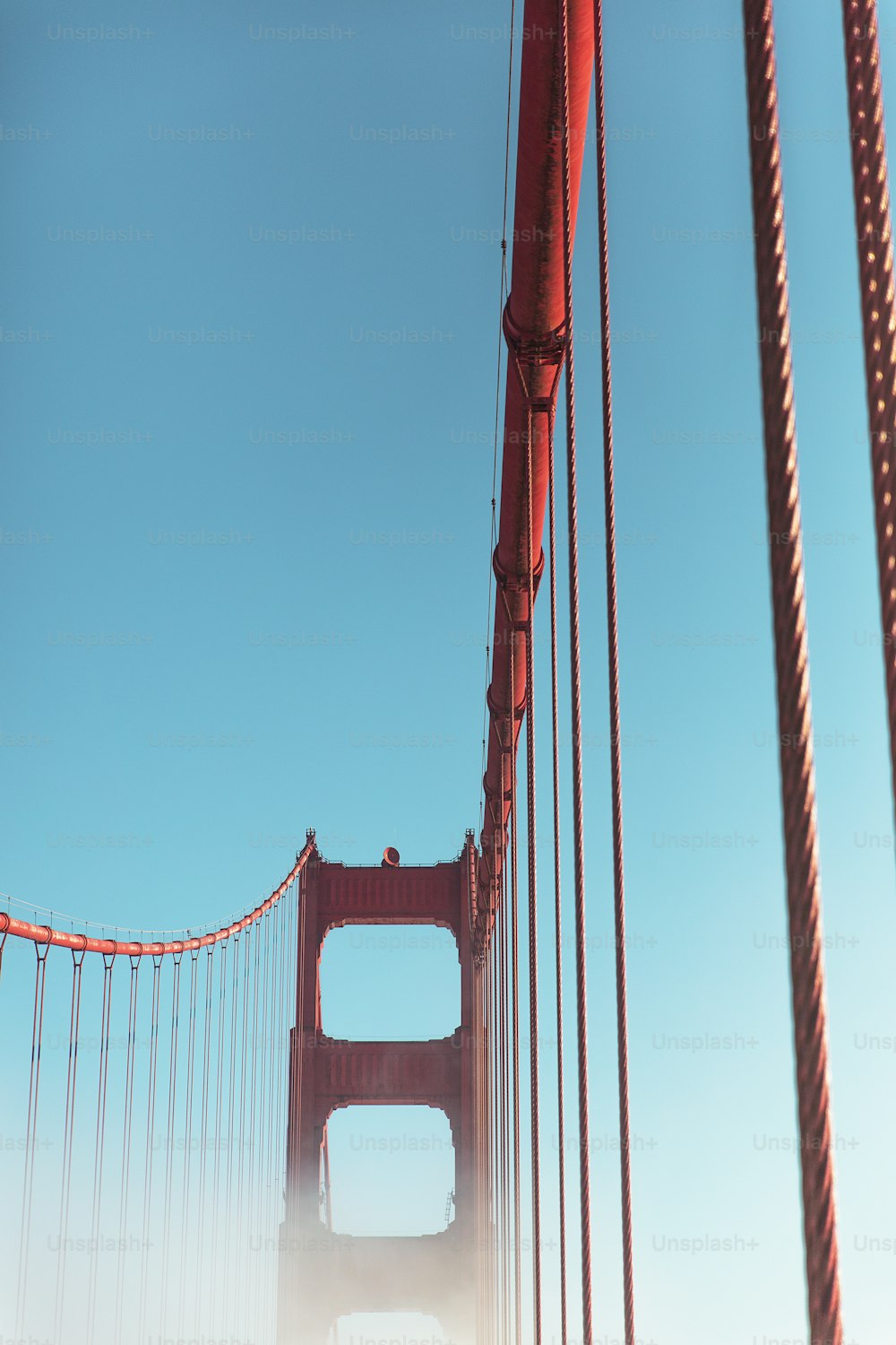 a view of the golden gate bridge from below