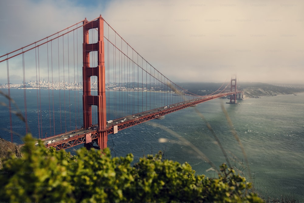 Blick auf die Golden Gate Bridge von der Spitze eines Hügels