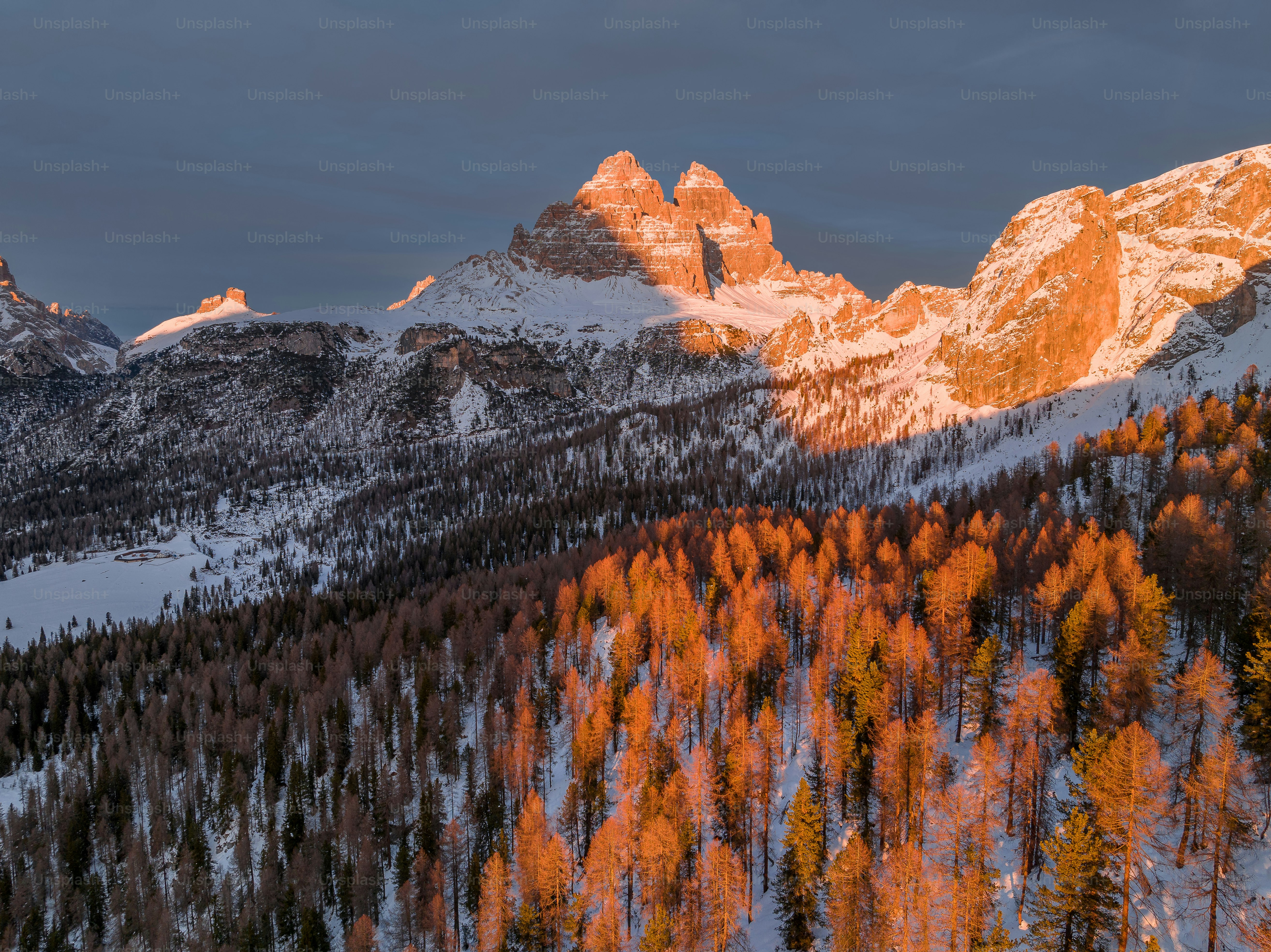 A snow covered mountain range with trees in the foreground photo ...