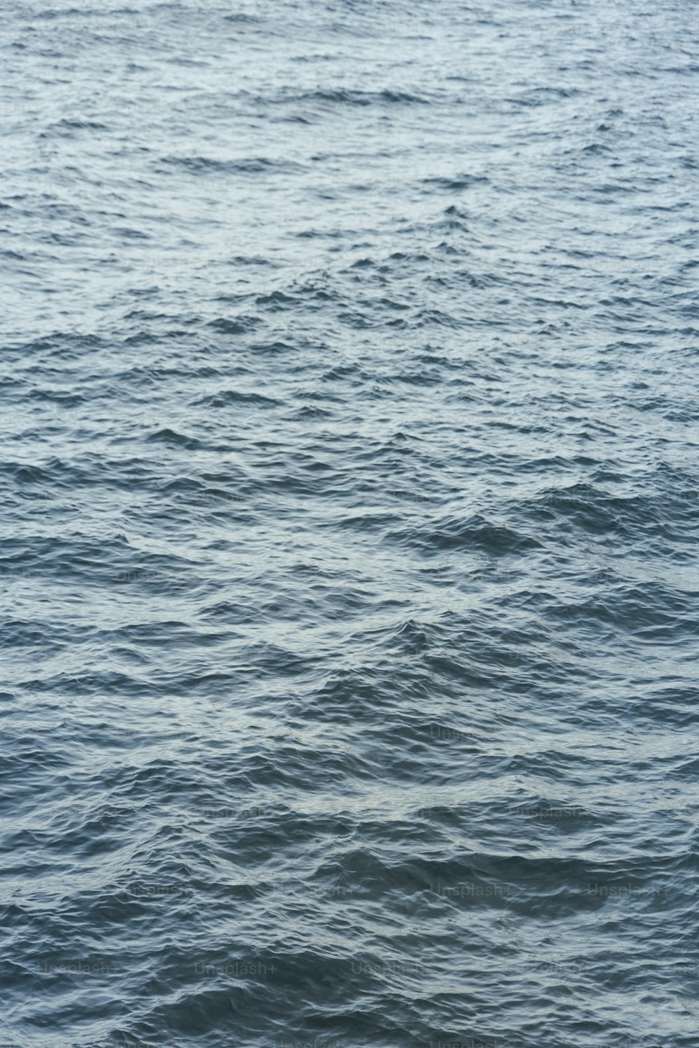 a person riding a surfboard on top of a body of water