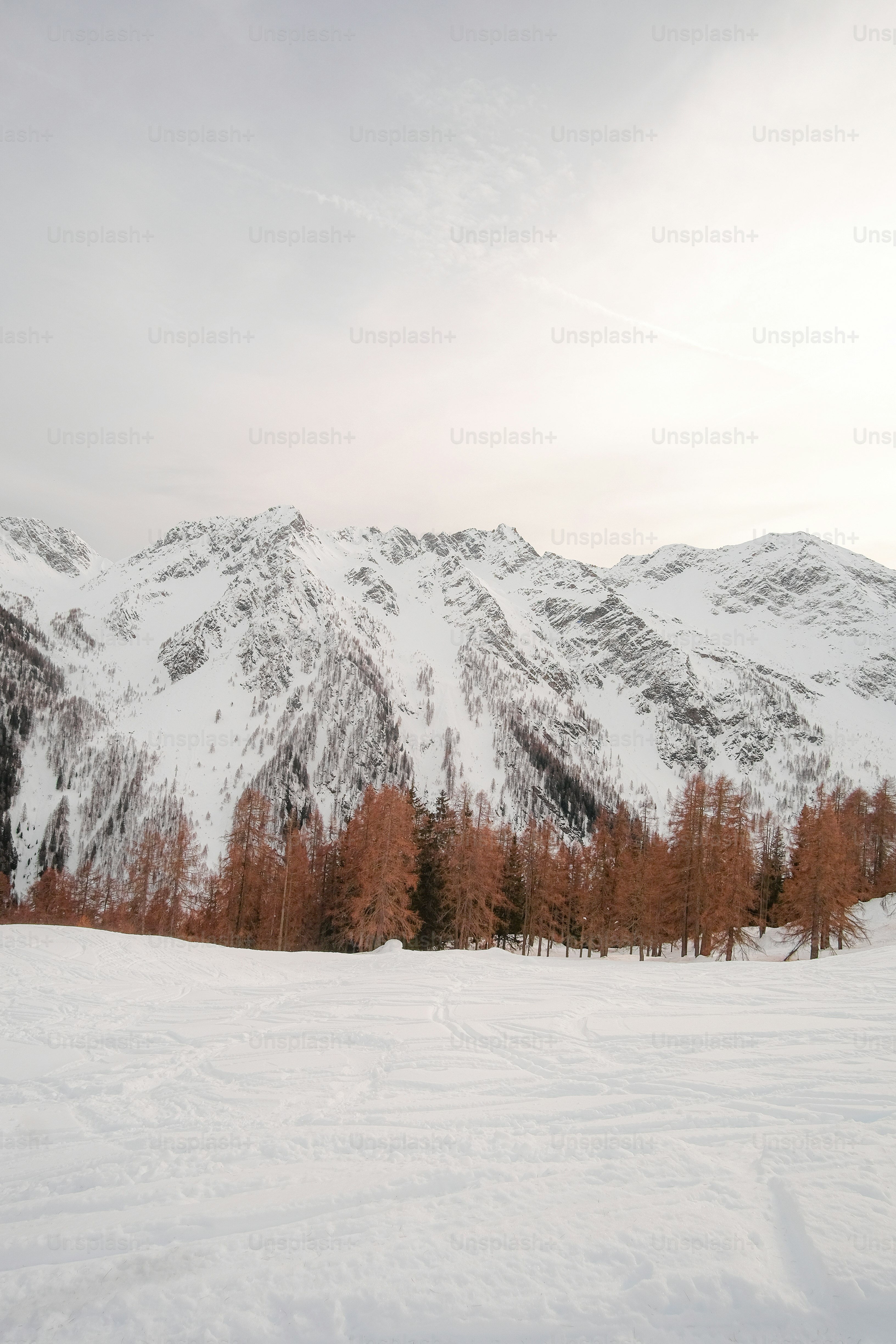 Un uomo che cavalca gli sci in cima a un pendio innevato