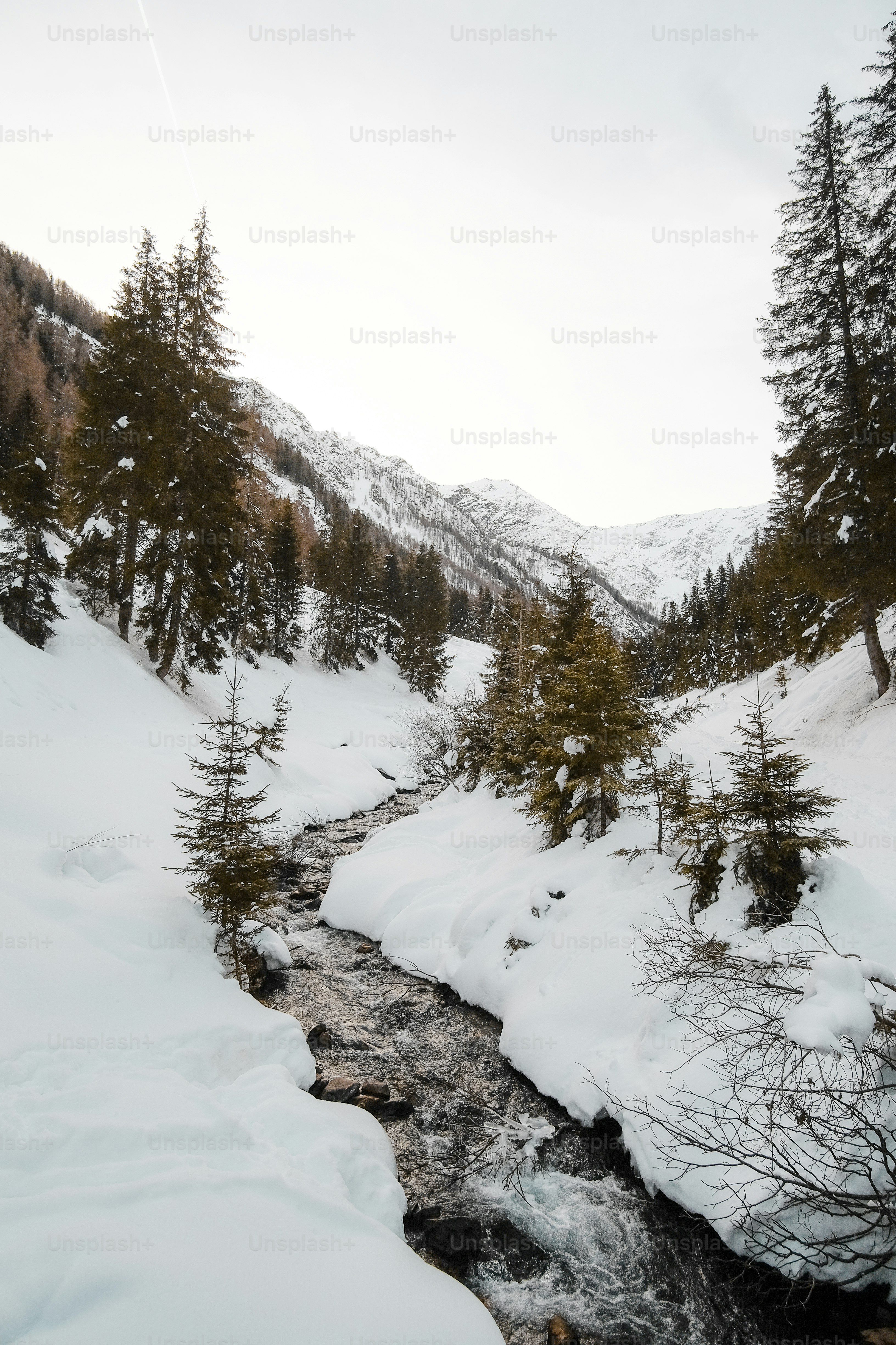 Ein Bach, der durch einen schneebedeckten Wald fließt