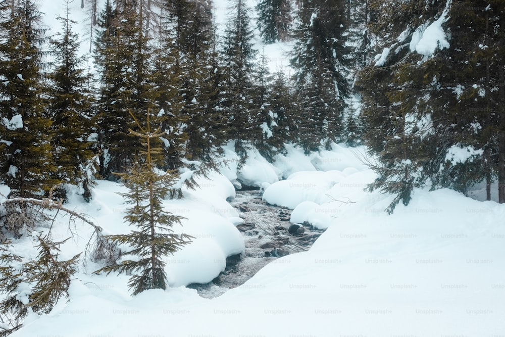 a man riding skis down a snow covered slope