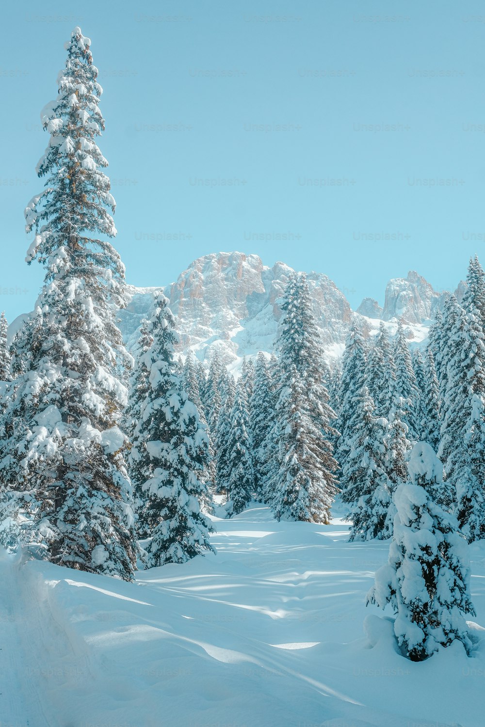 Eine verschneite Landschaft mit Bäumen und Bergen im Hintergrund