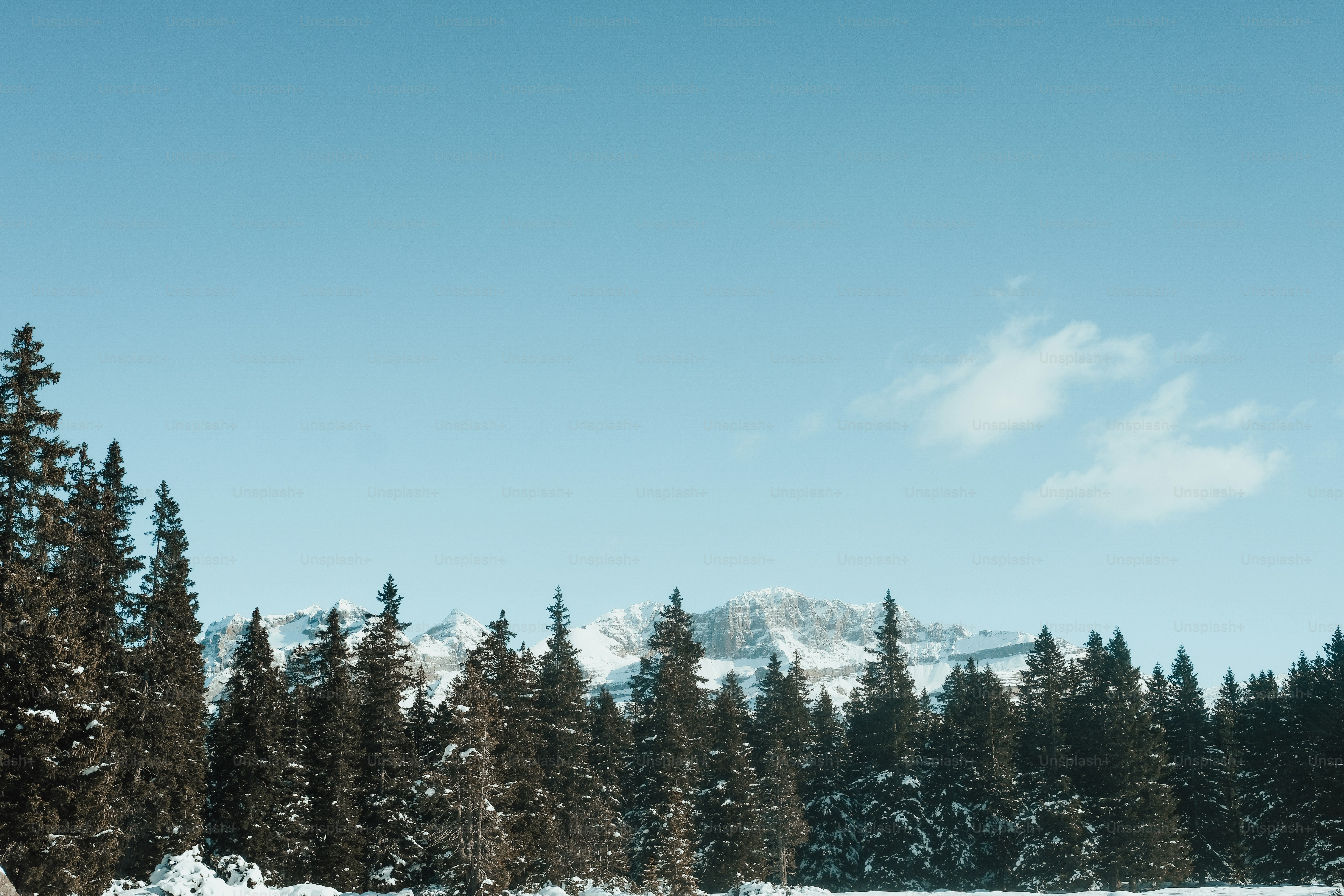 a snow covered field with trees and a mountain in the background