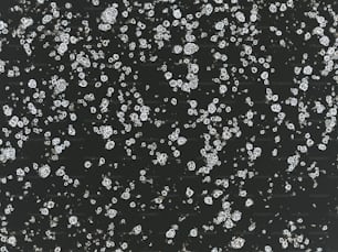 a black background with lots of bubbles of water