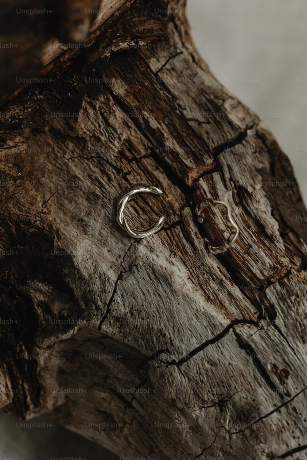 un trozo de madera con dos anillos