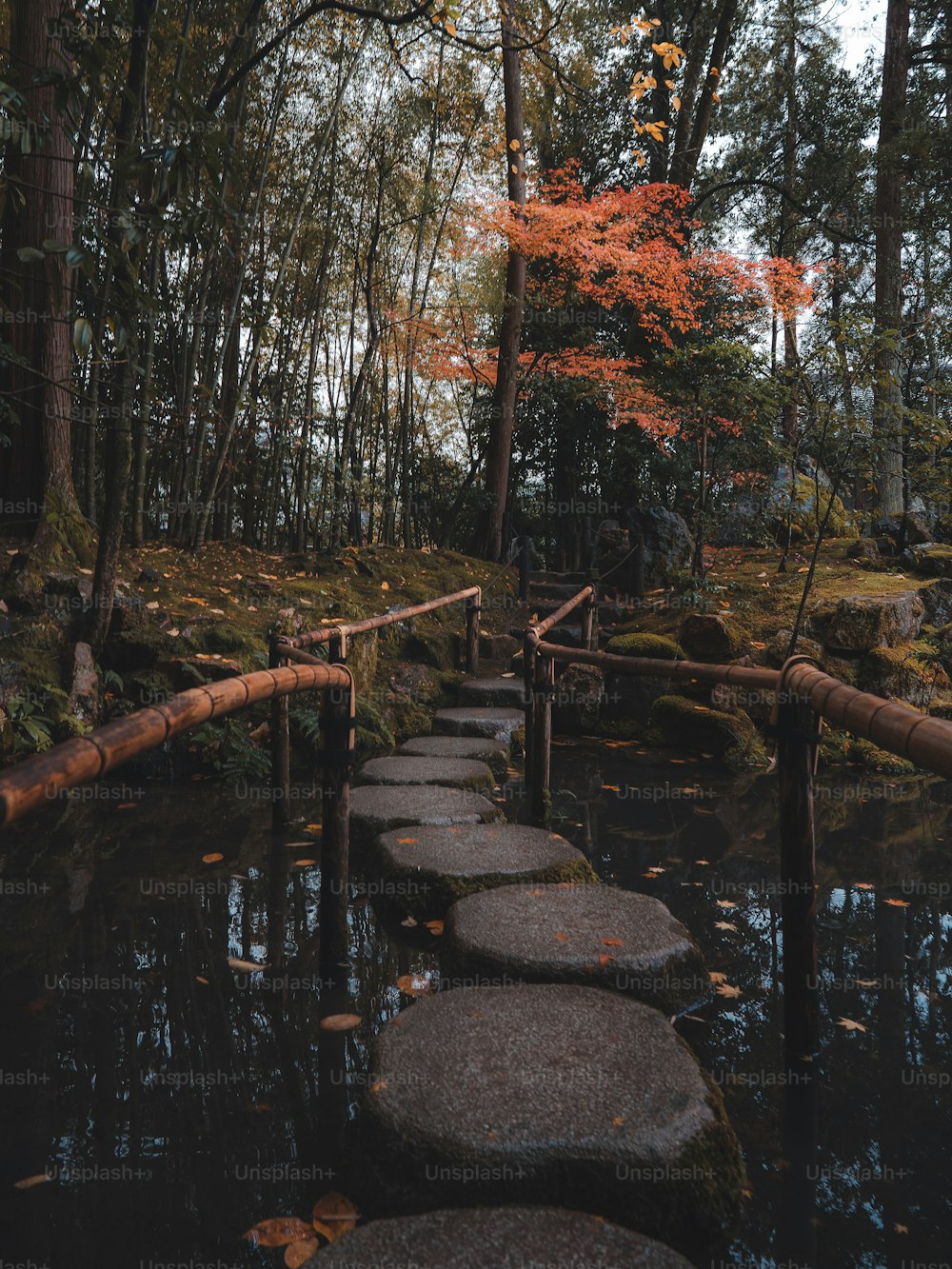 Un camino hecho de peldaños en un bosque