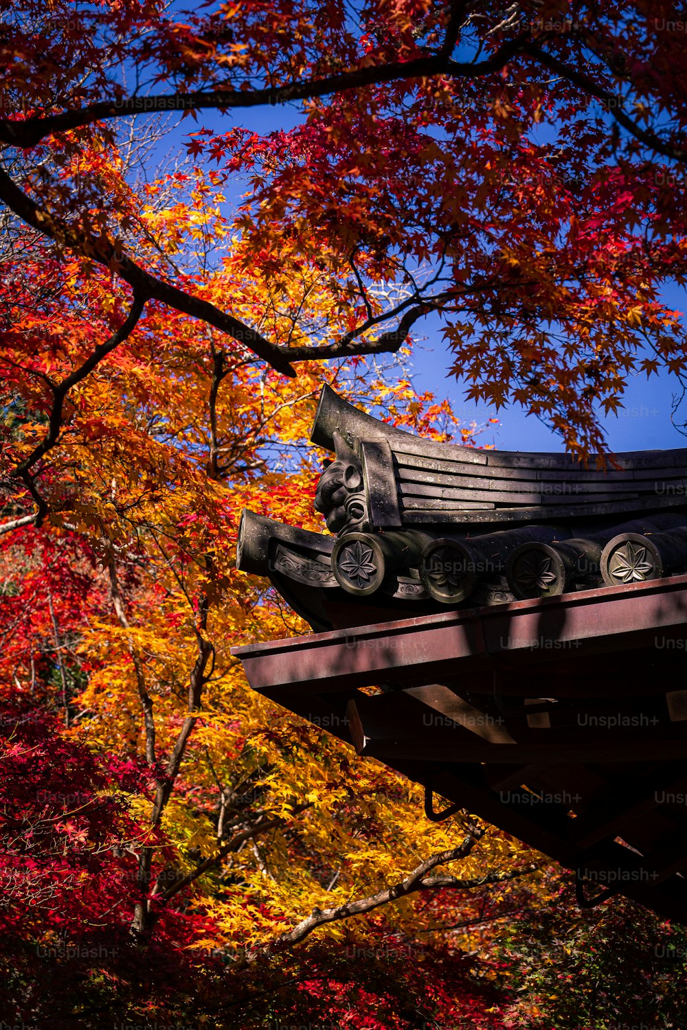 500+ Kyoto Pictures [HD] | Download Free Images on Unsplash