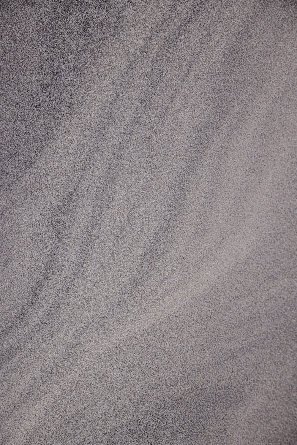 a bird standing on top of a sandy beach